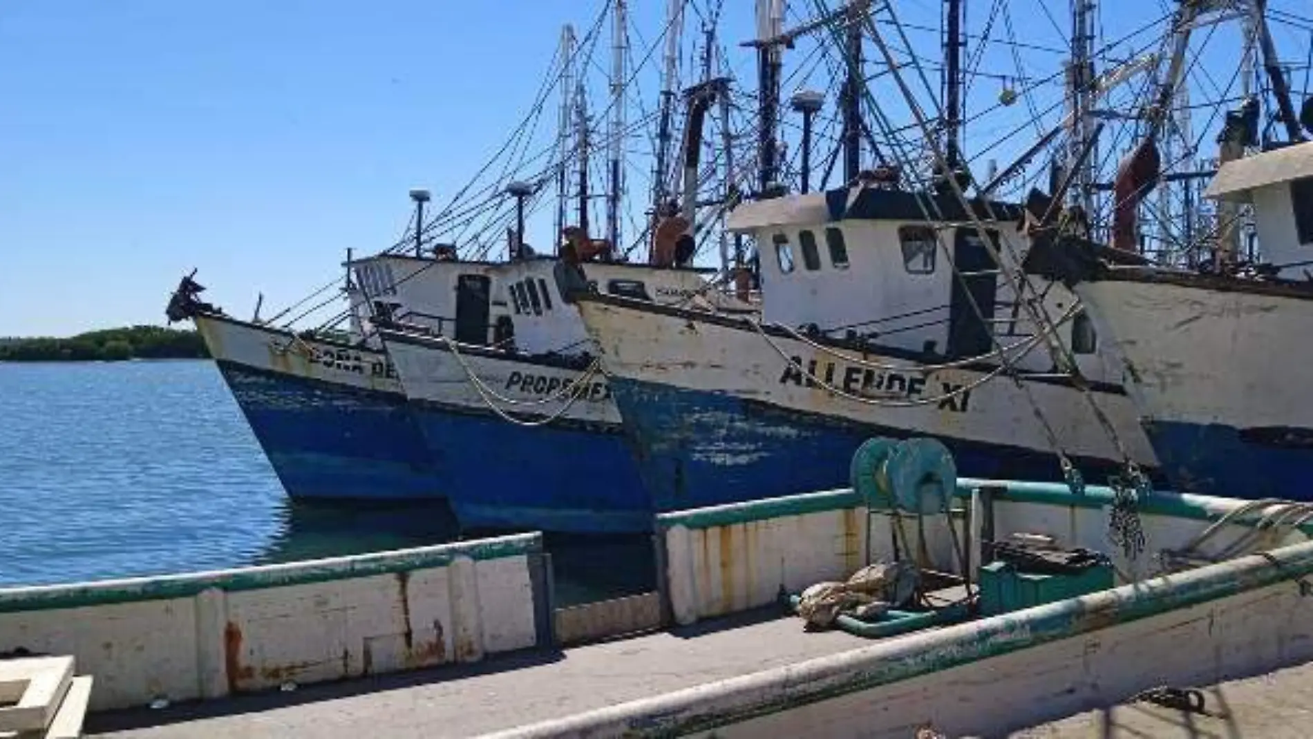 barcos - camaroneros